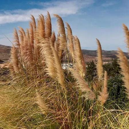 Ventu Paros Μάρπησσα