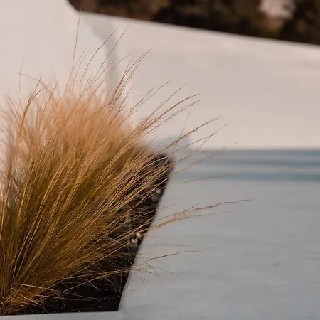 Ventu Paros Márpissa