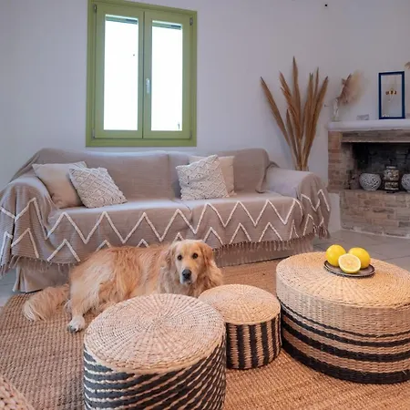 Ventu Paros